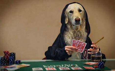 cachorros jogando poker|Iba pa.